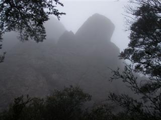 Mt Roland