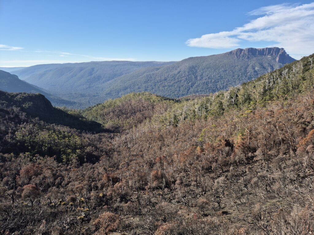 Forth Valley Lookout