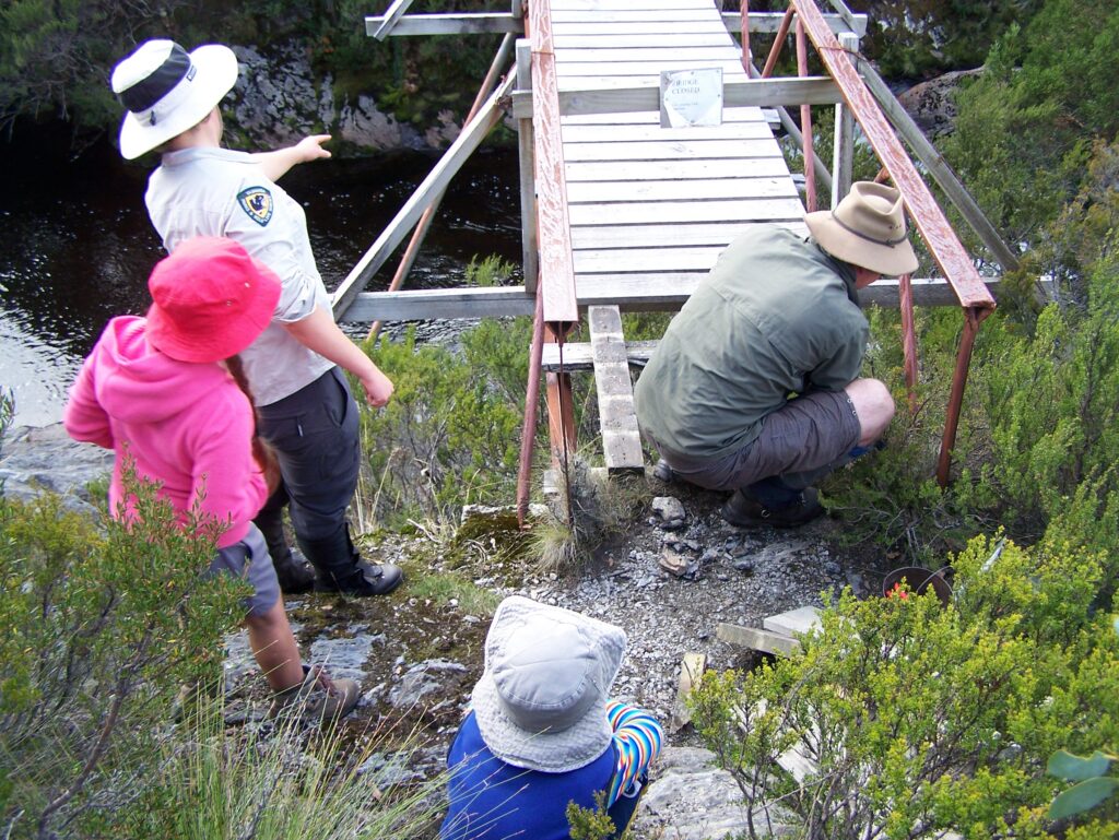 Douglas Creek bridge