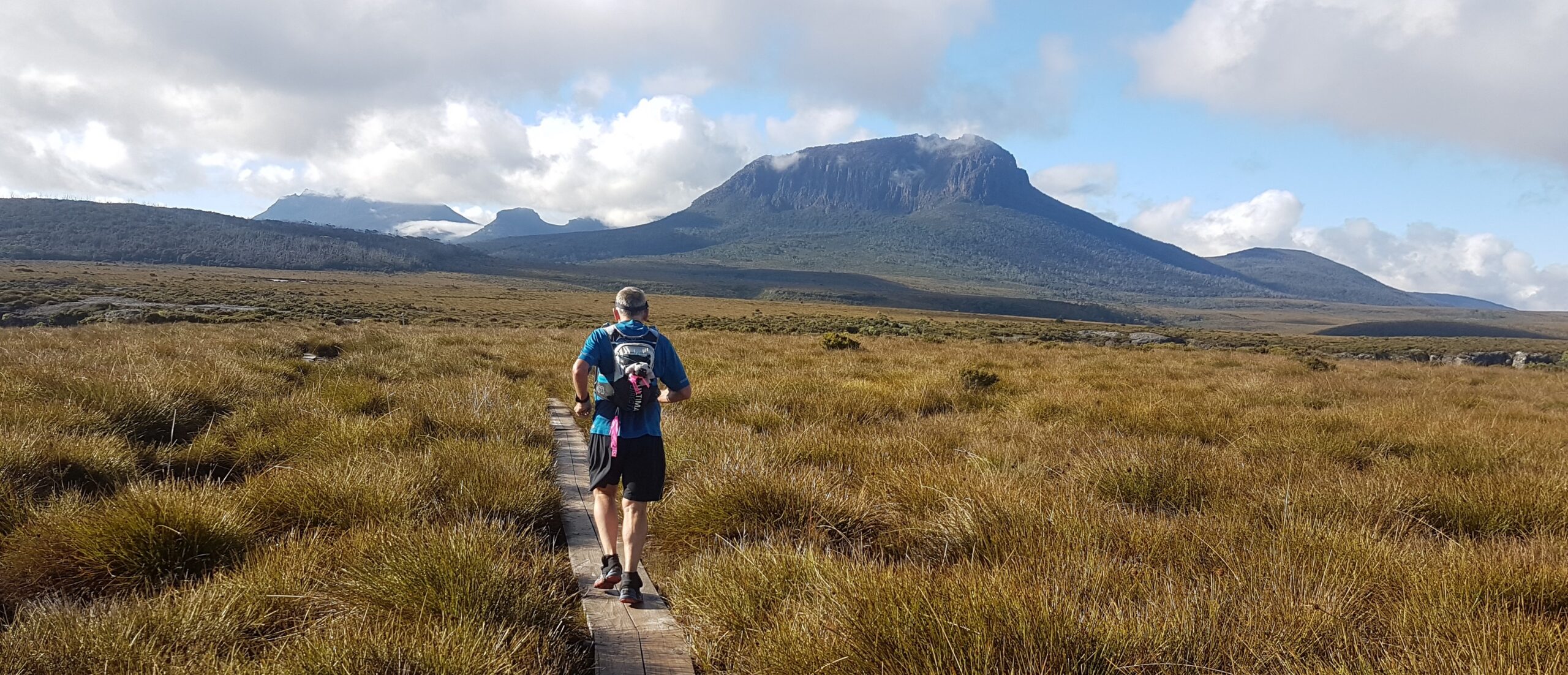 Pine Forest Moor and Mt Pelion West