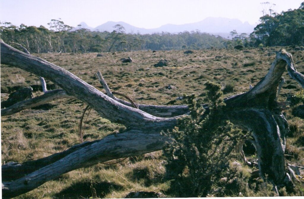 February Plains