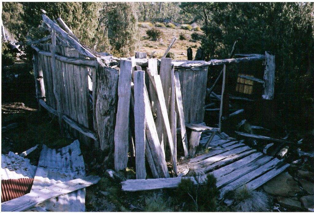 Basil Steers February Plains Hut No. 1