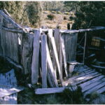 Basil Steers February Plains Hut No. 1