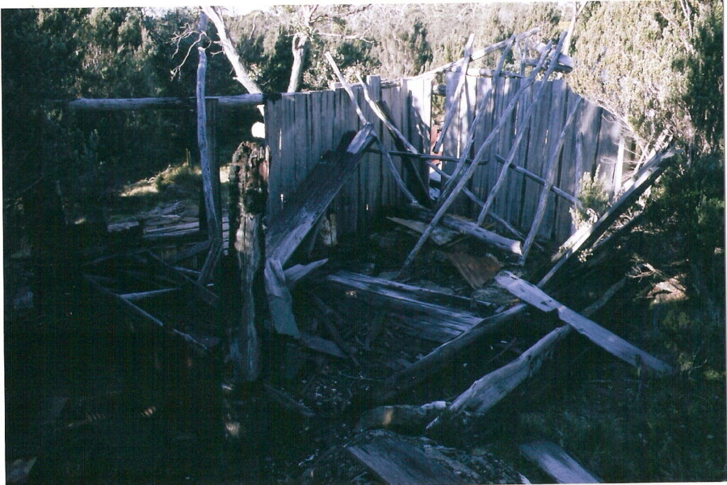 Basil Steers February Plains Hut No. 1