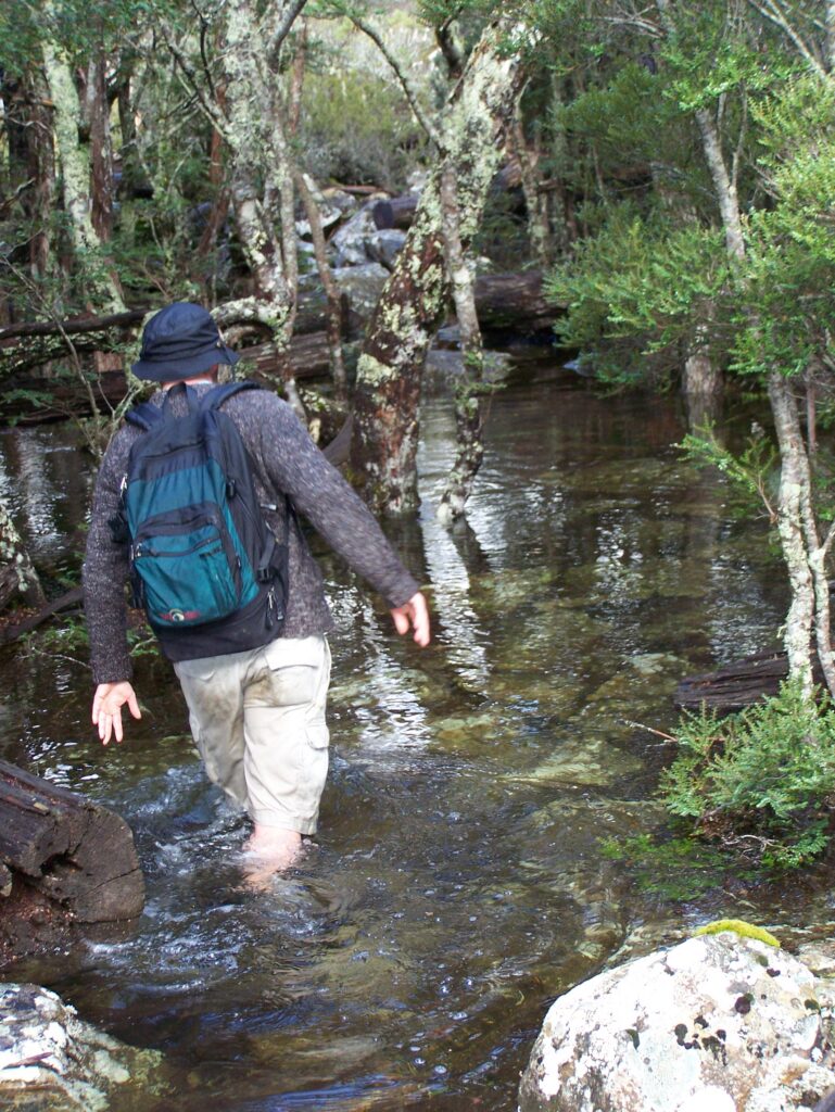Flooded Meander Falls Track