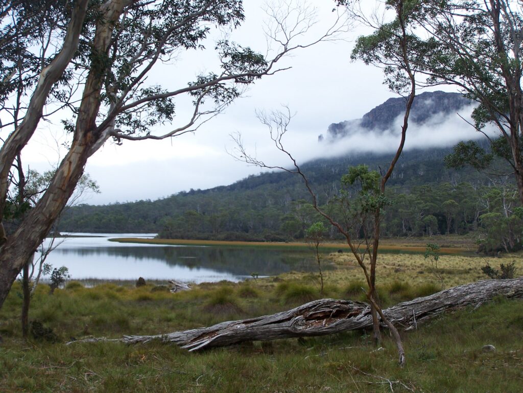 Mt Oakleigh and Lake Ayr 