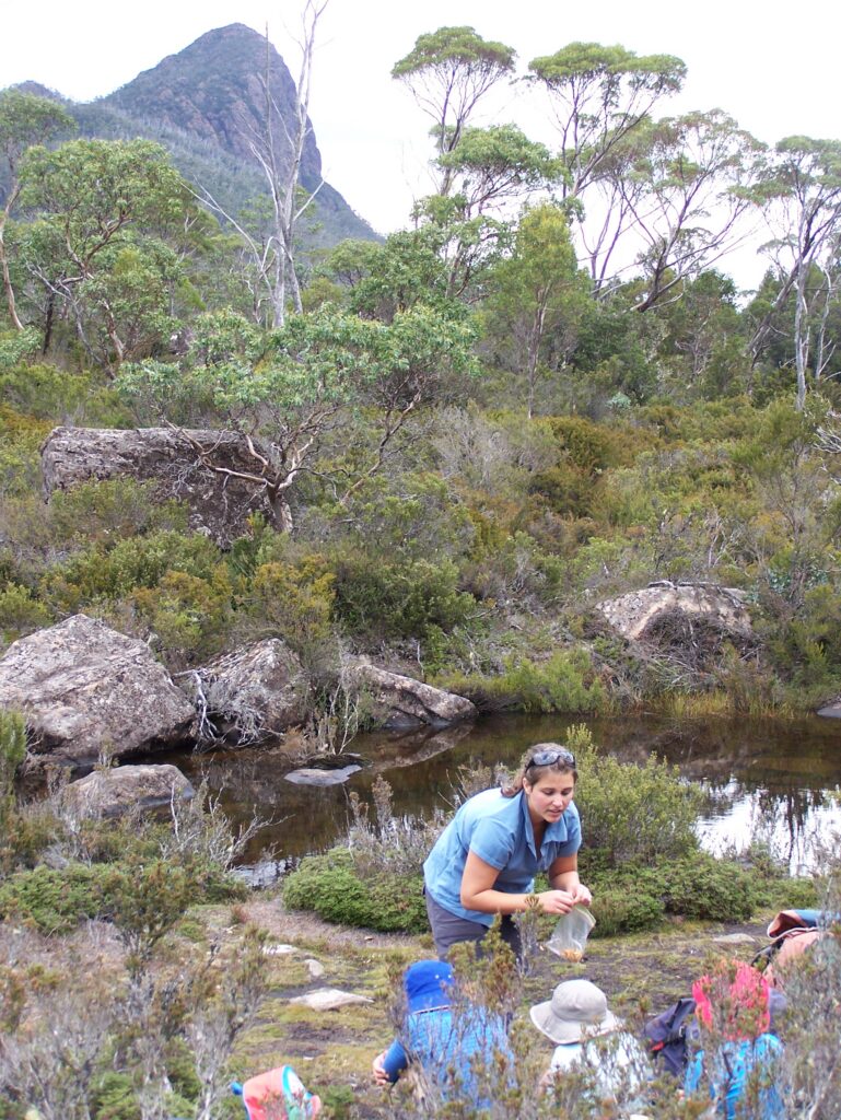Mount Pillinger and Lake Price