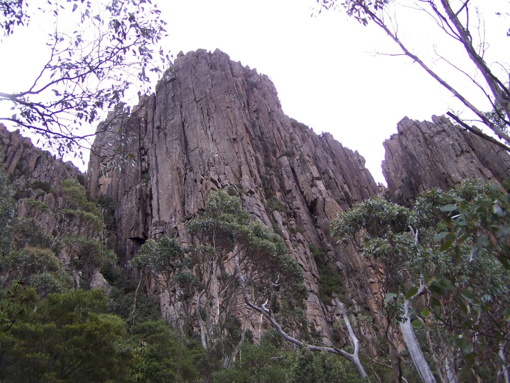 Organ Pipes