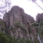 Organ Pipes