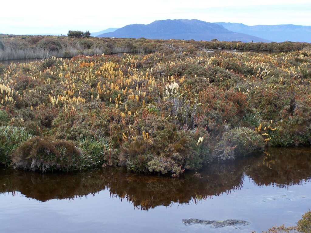 Tarn on Mount Maurice