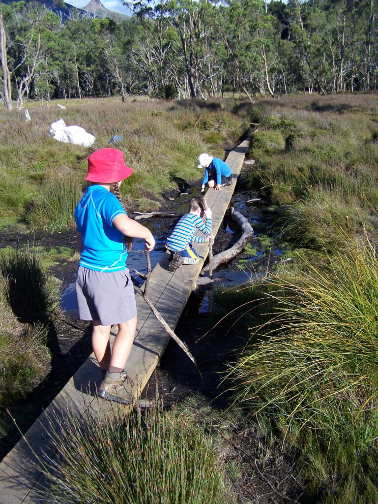 Old Pelion Hut Track