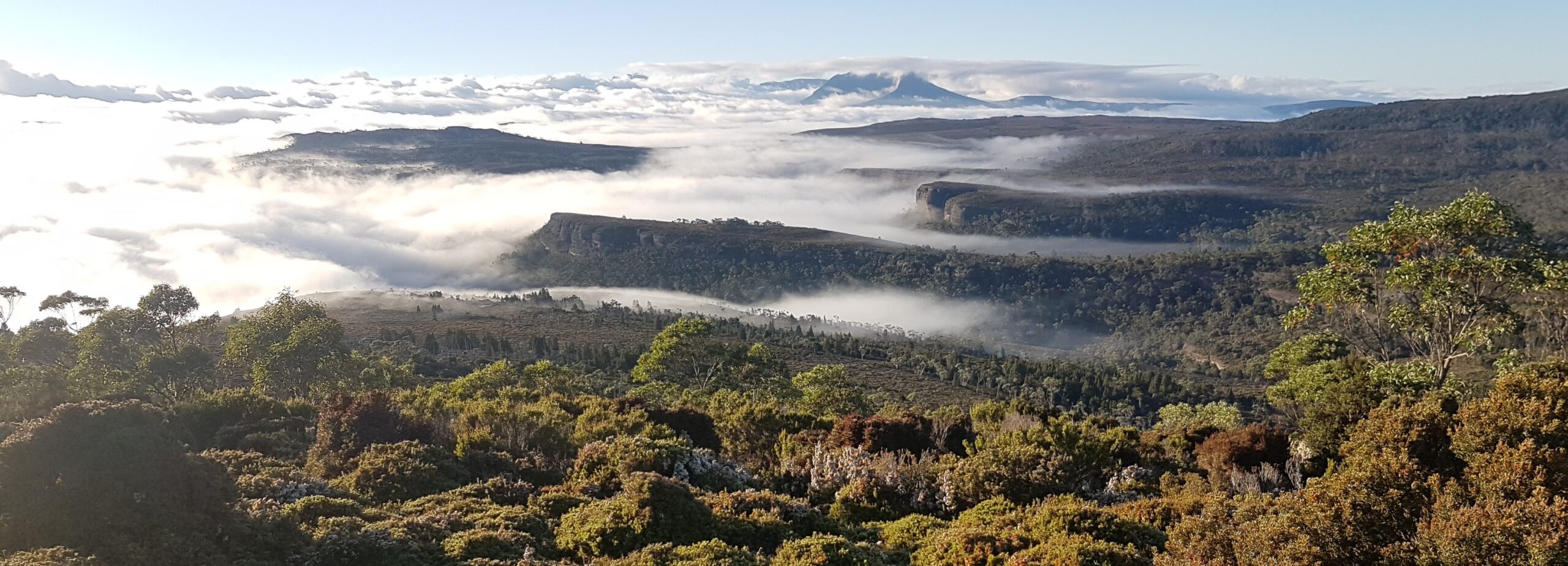 Waterfall Valley shrouded in mist